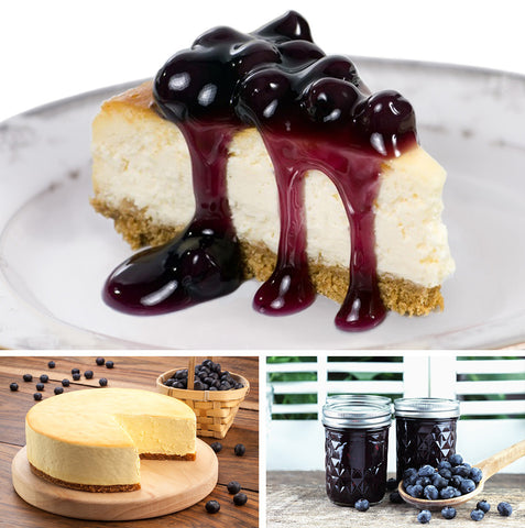 vegan blueberry cheesecake